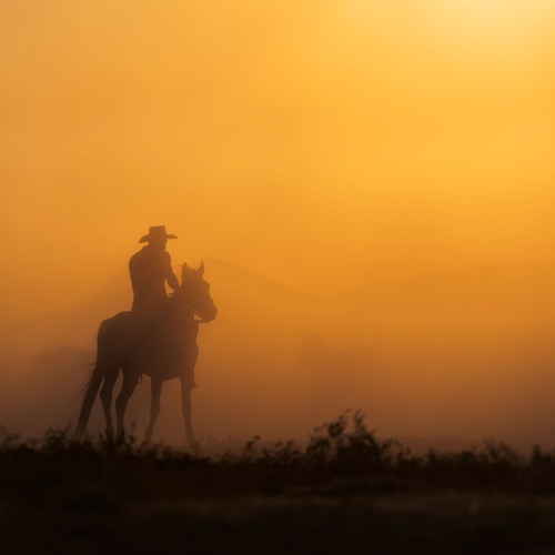 Dream Valley Music - Lone Rider