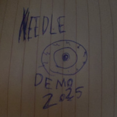 Needle