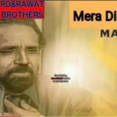 Mera_Dil_Ye_Pukary_Aja_Qawwali_Fusion_Shahbaz_Fayyaz_Qawwal(256kbps).mp3