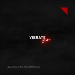 Snko - Vibrate (Official Audio)