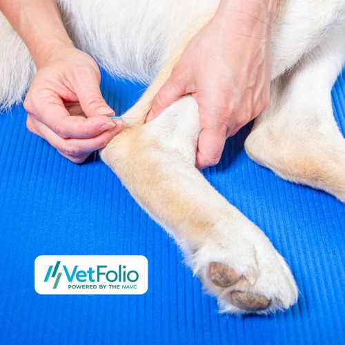 Stream episode CPR, CRI…and Acupuncture? Acupuncture in the Emergency