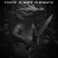 THIS IS A KNIFE(REMIX)