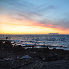 Die Gleichzeitigkeit der Dinge
