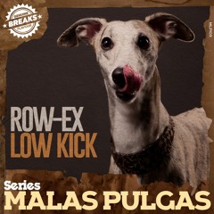 Row-EX - Low Kick