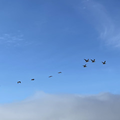 onemoretime - jvnnroque (prod. lickowens)