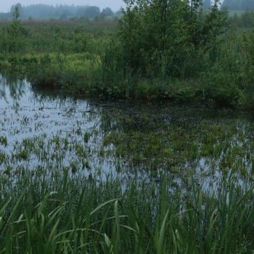 ​ (igg5qk1ngya3) by zįęzųĮąşęjąş (Yabujin)