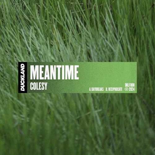 Colesy - Daybreaks [Free Download]