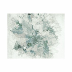 .CHPTR028 'Flying saucers in Torriglia' | Camu