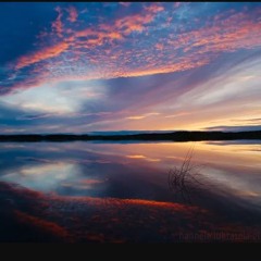 Reflections