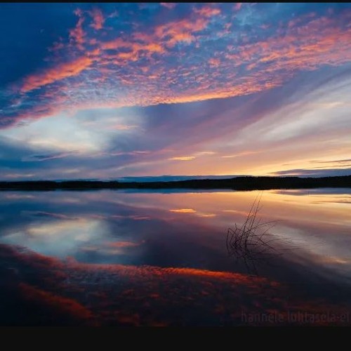 Reflections