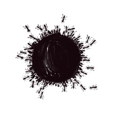 Nema Hän  / Ants coffee & Crowd Control / Series 14