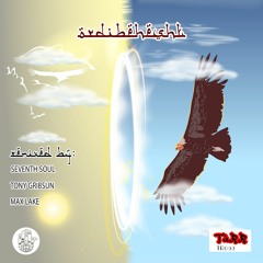 Banafsh - Ordibehesht (Tony Gribsun Radio Edit)