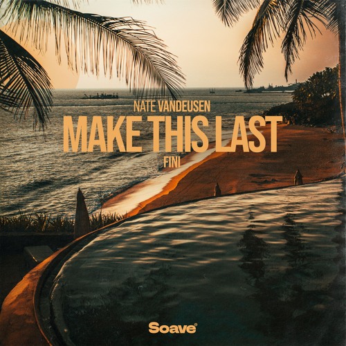 Nate VanDeusen & Fini - Make This Last