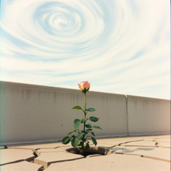 Everybody Wants to Fool the World