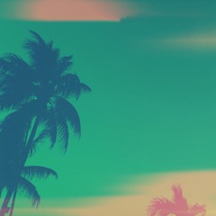palm trees