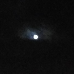 Nova’s Sighting