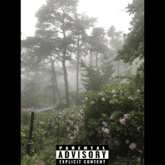 i cant do it p. pierre