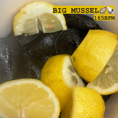 Big Mussel