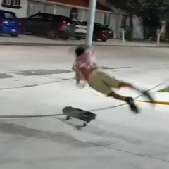 What if Monkeys had wings.