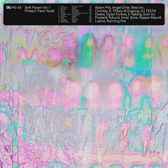 HS-01 • Bliss Inc. – Safety Cage