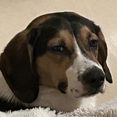 Rest In Peace Interlude