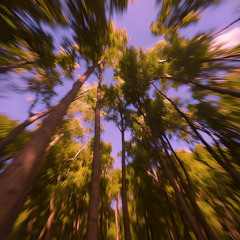 The One (prod. prodbybigman)