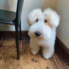 karaoke ceu azul pjl charlie brown junior tam bem com master do EF