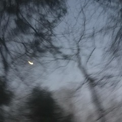 Bass for yall niggas.m4a