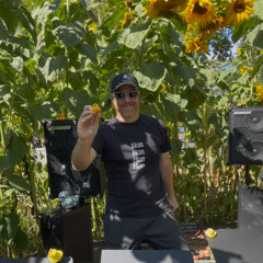 Sunflower Palooza LIVE 07-25-25