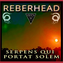 10 REBERHEAD - LARVAE