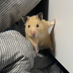 니가 돌아올 희망은 없다는 걸 알아