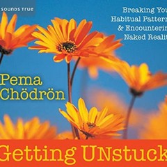 [Free] PDF 📄 Getting Unstuck: Breaking Your Habitual Patterns and Encountering Naked