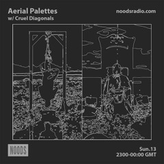 Aerial Palettes w/ Cruel Diagonals :: Noods Radio (February '22)