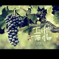 Christ as the Vine(Guitar)