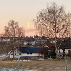 You hold my hand(second edition)