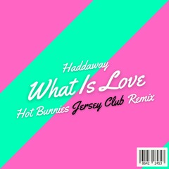 What Is Love (Hot Bunnies Jersey Remix)