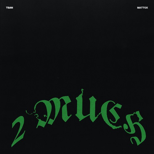 2 MUCH - Matt Ox & T$AN (prod. Project)