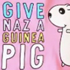 GIVE NAZ A GUINEA PIG SONG💖🥺🐹