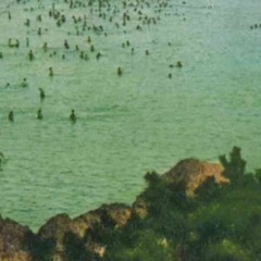 Seminarium 溫泉穴