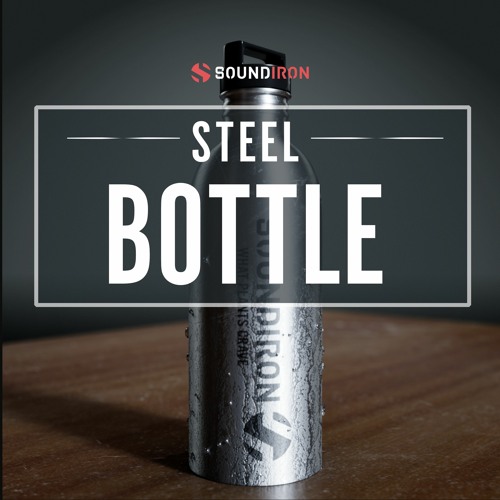 Sivaramakrishnan - Following - Soundiron Steel Water Bottle