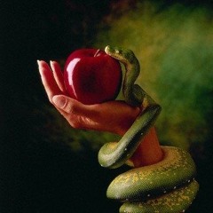 KHALEESI - ADAM AND EVE