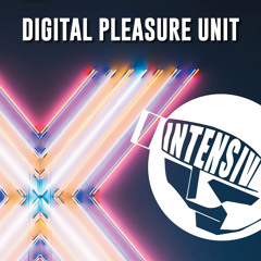 Digital Pleasure Unit (19.12.20)