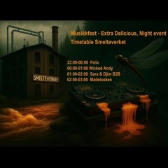Sara Josefina & Djim B2B @ Musikkens Dag - Extra Delicious, Night Event, Smelteverket 07.06.2025