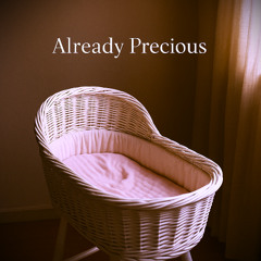 Already Precious - WAV