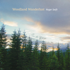Woodland Wanderlust