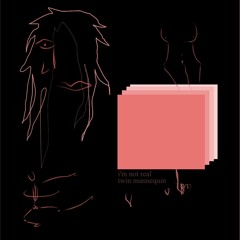 a room without walls