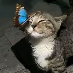 NINEXTEEN-ALFREDO (PROD JAWNZ)