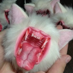 i do what i want, what the devil say? PROD. ERLAX