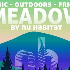 DJ Cotton Candy LIVE at Meadow Fest