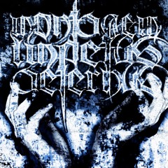 MONTAGEM IMPETUS AETERNUS